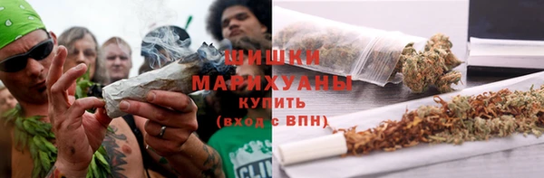 МДПВ Богородск