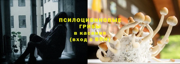 МДПВ Богородск