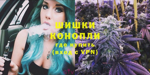 МДПВ Богородск