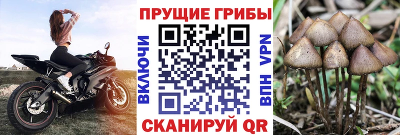 Галлюциногенные грибы мухоморы  Купить закладки  Бахчисарай 